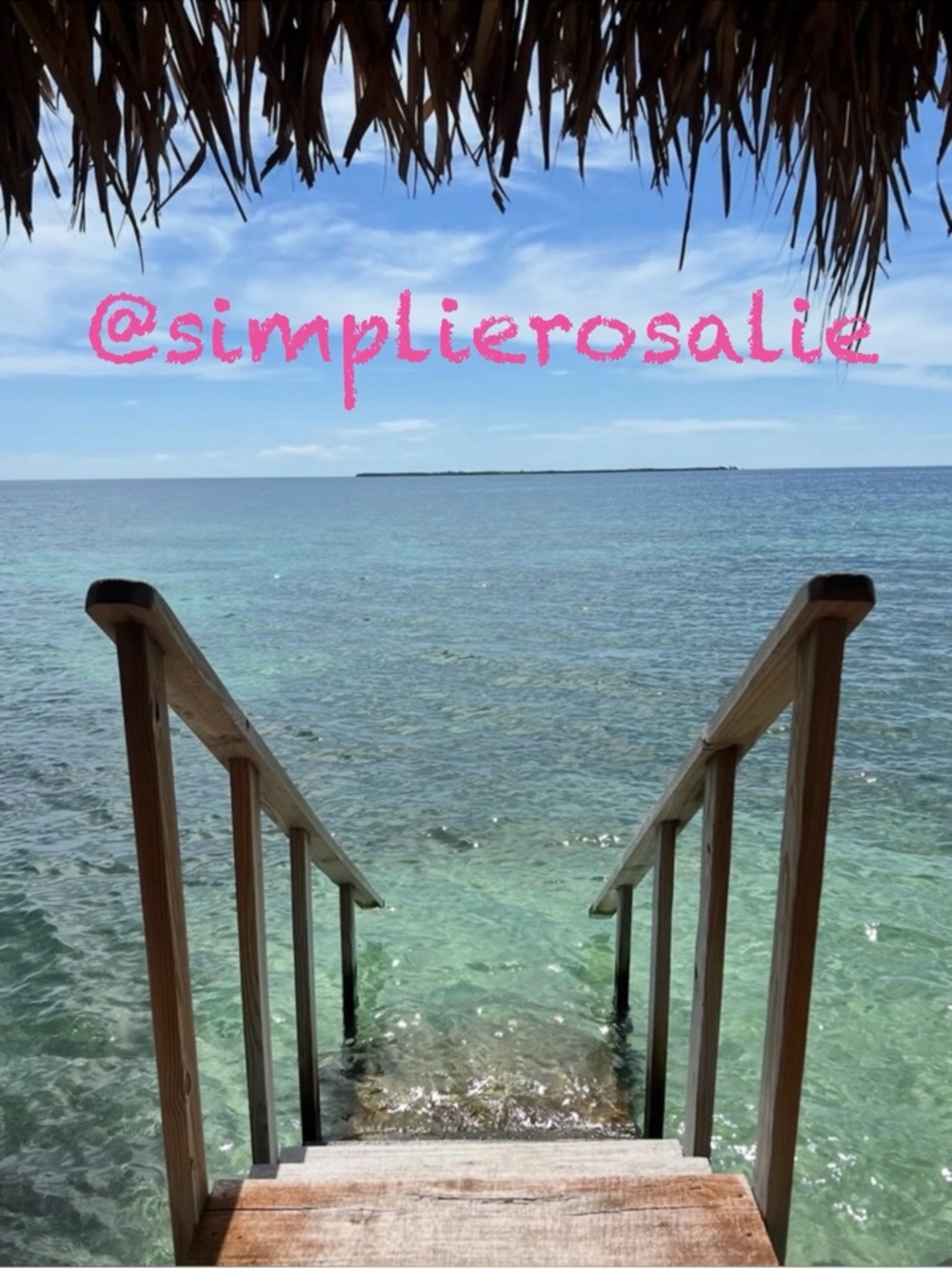 SIMPLIEROSALIE 📦 $4.99 DISCOUNT SHIPPING 📦 NOTIFICATION BANNER